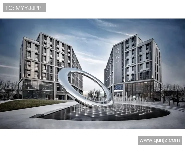 杭州极限运动队团队协作模式深度解析与对比研究MBA