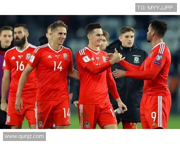 瑞士与格鲁吉亚欧预赛对决前瞻分析及双方阵容预测